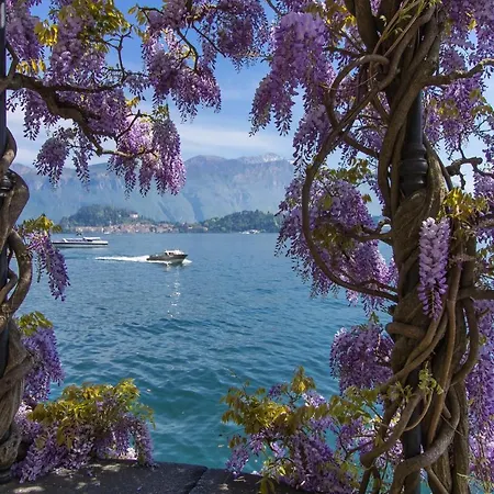 Vista D'oro * Perledo